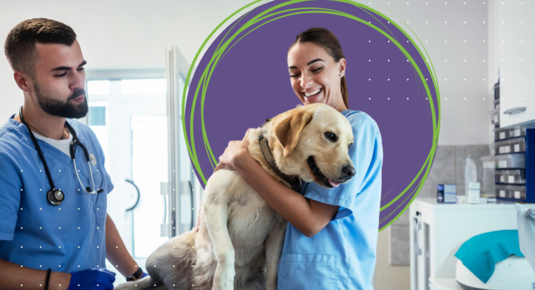 woman and a man standing in a medical office wearing scrubs, woman is holding a large white dog